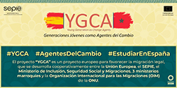 Infografia YGCA 102