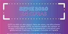 SEPIE en cifras 2020