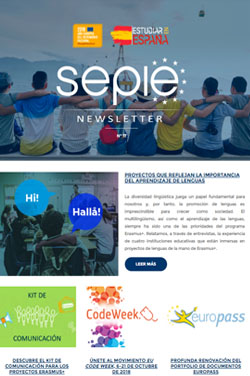 Newsletter Número 17