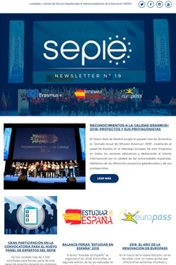 Newsletter Número 19